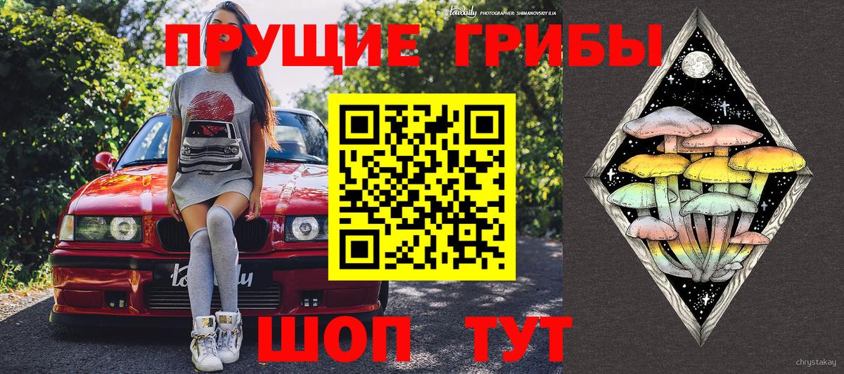 Галлюциногенные грибы ЛСД Дальнереченск